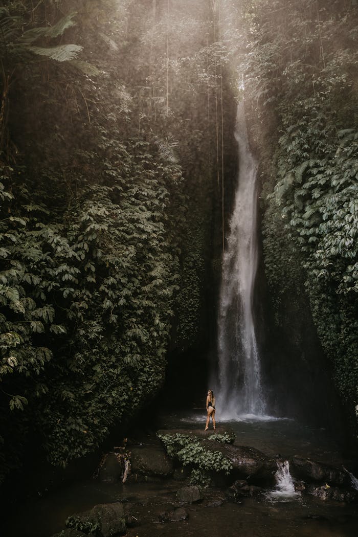 Explore the serene beauty of a towering waterfall surrounded by lush greenery in Bali's vibrant jungle.